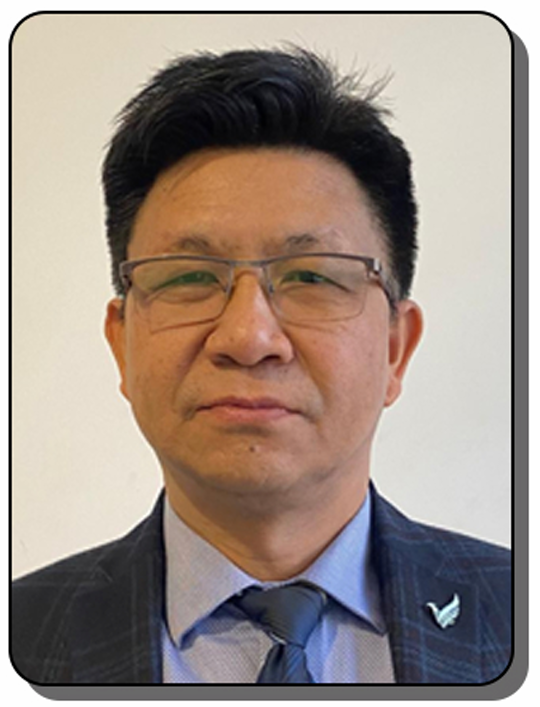 Dr. (Prof) S. Opendro